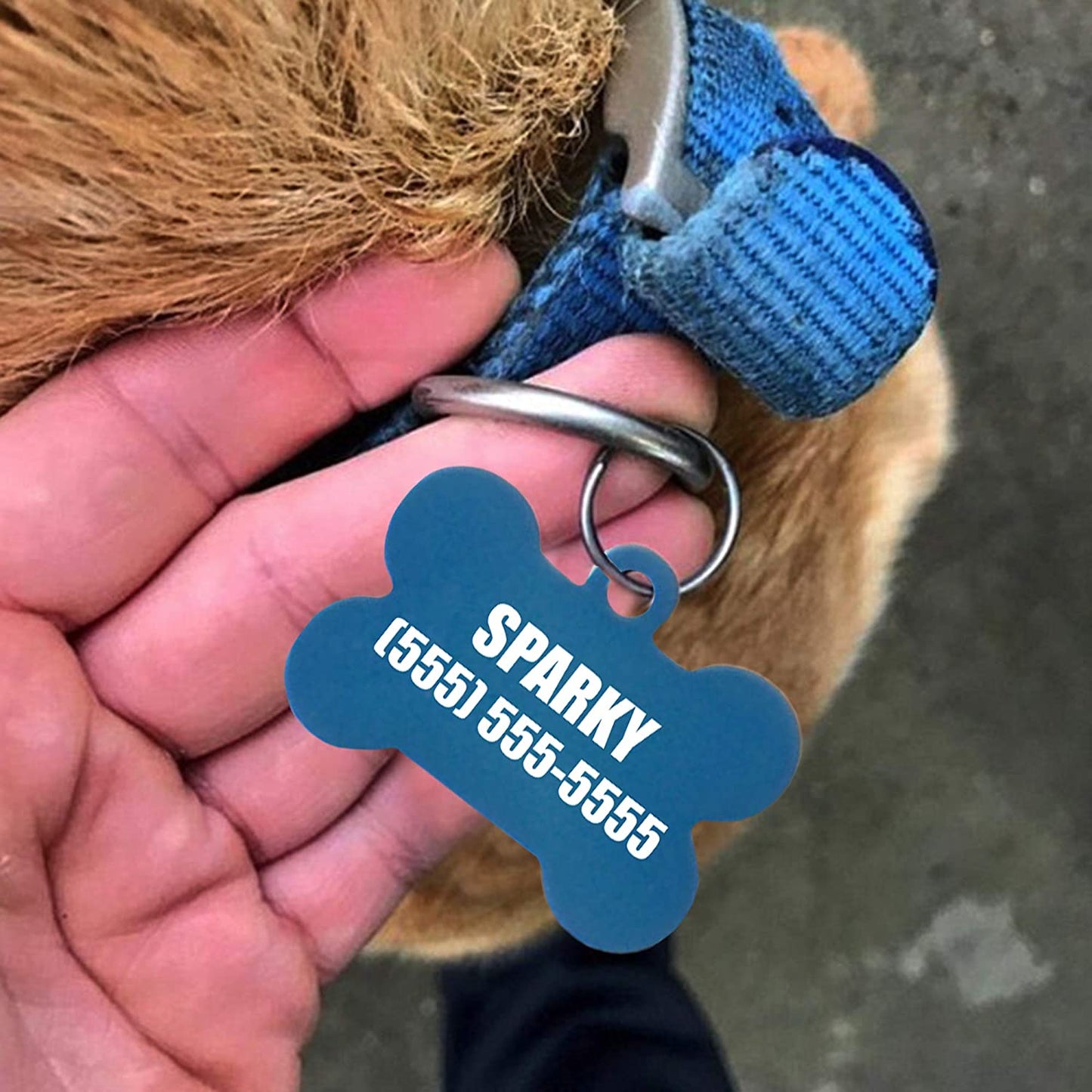 Customized Engraved Pet Collar Tag - Add Your Text