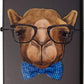 Cool Camel with Blue Sunglasses and Palm Tree Reflections - Orange Matte Zippo Lighter